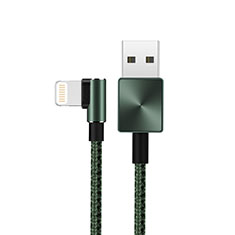 USB Ladekabel Kabel D19 für Apple iPhone 12 Pro Grün