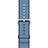 Uhrenarmband Milanaise Band für Apple iWatch 38mm Blau