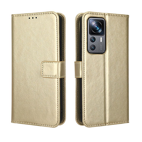 Handytasche Stand Schutzhülle Flip Leder Hülle BY5 für Xiaomi Mi 12T 5G Gold