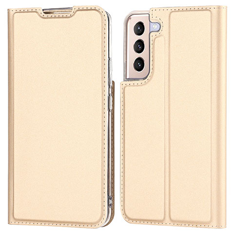 Handytasche Stand Schutzhülle Flip Leder Hülle D05T für Samsung Galaxy S21 Plus 5G Gold