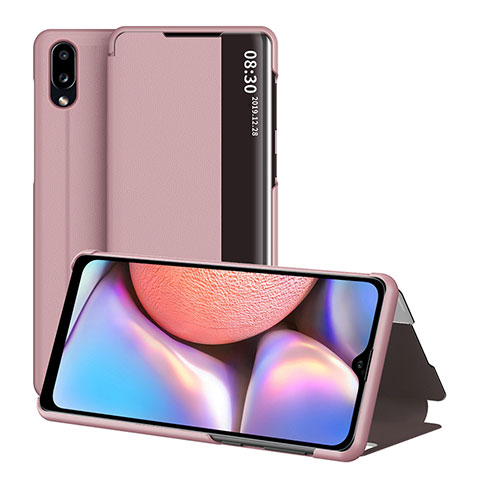 Handytasche Stand Schutzhülle Flip Leder Hülle ZL1 für Samsung Galaxy M01s Rosegold