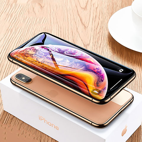 Schutzfolie Full Coverage Displayschutzfolie Panzerfolie Skins zum Aufkleben Gehärtetes Glas Glasfolie P06 für Apple iPhone X Schwarz