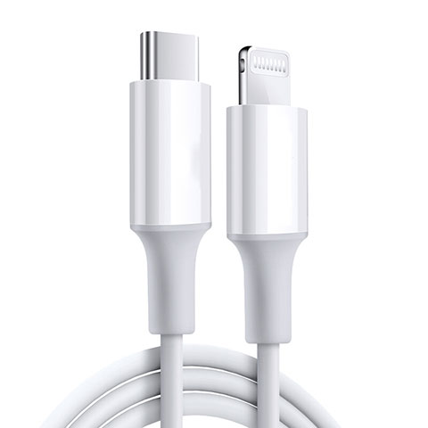 USB Ladekabel Kabel C02 für Apple iPad 10.2 (2020) Weiß