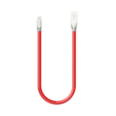 USB Ladekabel Kabel C06 für Apple iPad Pro 12.9 (2020) Rot