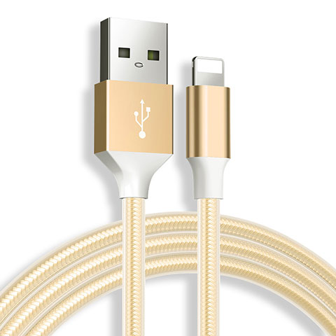 USB Ladekabel Kabel D04 für Apple iPad Mini 2 Gold