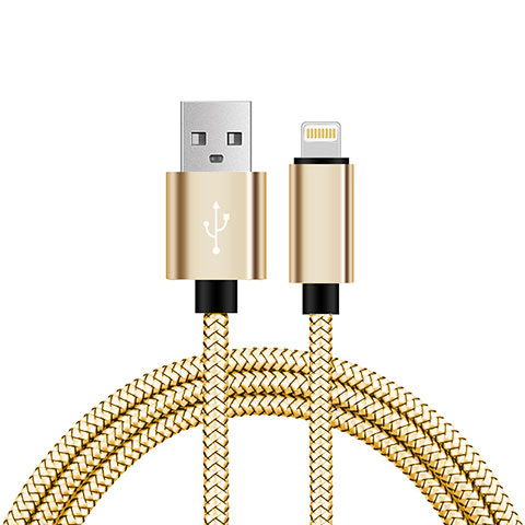 USB Ladekabel Kabel L07 für Apple iPad 10.2 (2020) Gold