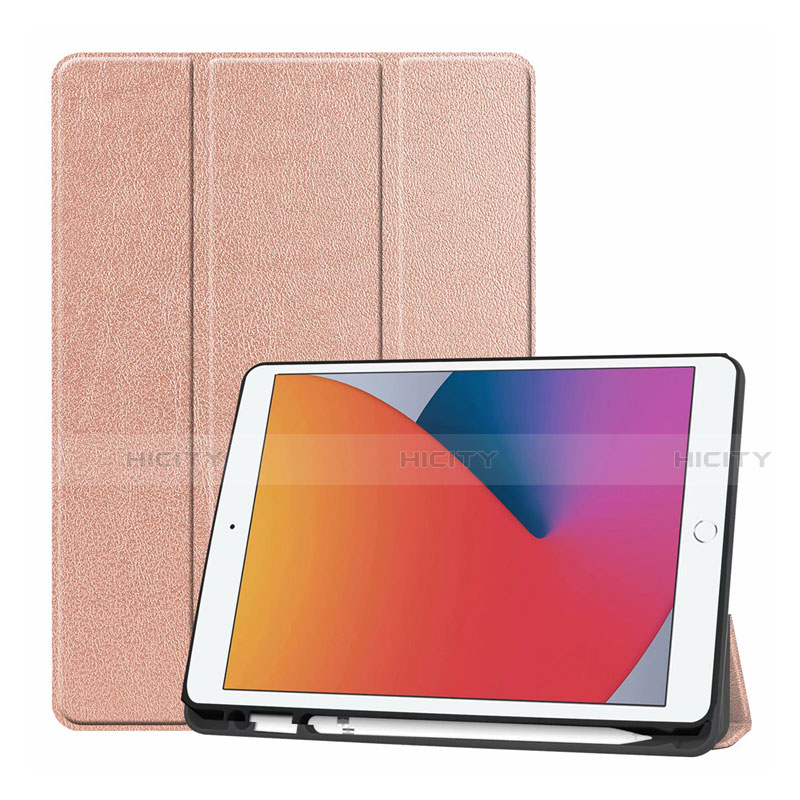 Handytasche Stand Schutzhülle Flip Leder Hülle L01 für Apple iPad 10.2 (2019) Rosegold Plus