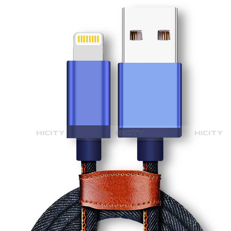 USB Ladekabel Kabel D01 für Apple iPad 2 Blau