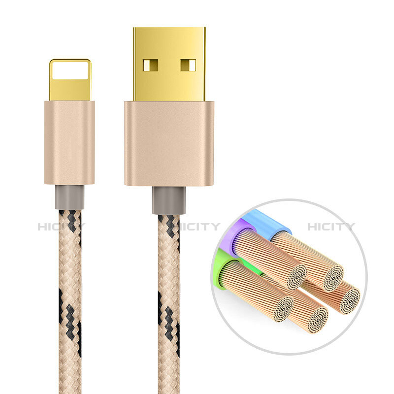 USB Ladekabel Kabel L01 für Apple iPad 10.2 (2020) Gold groß