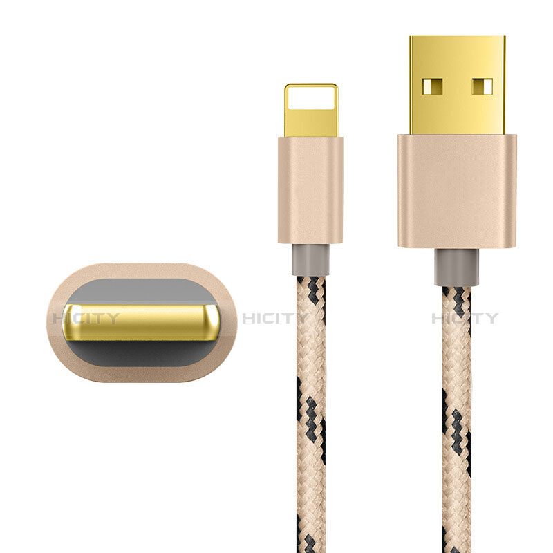 USB Ladekabel Kabel L01 für Apple iPad 10.2 (2020) Gold groß