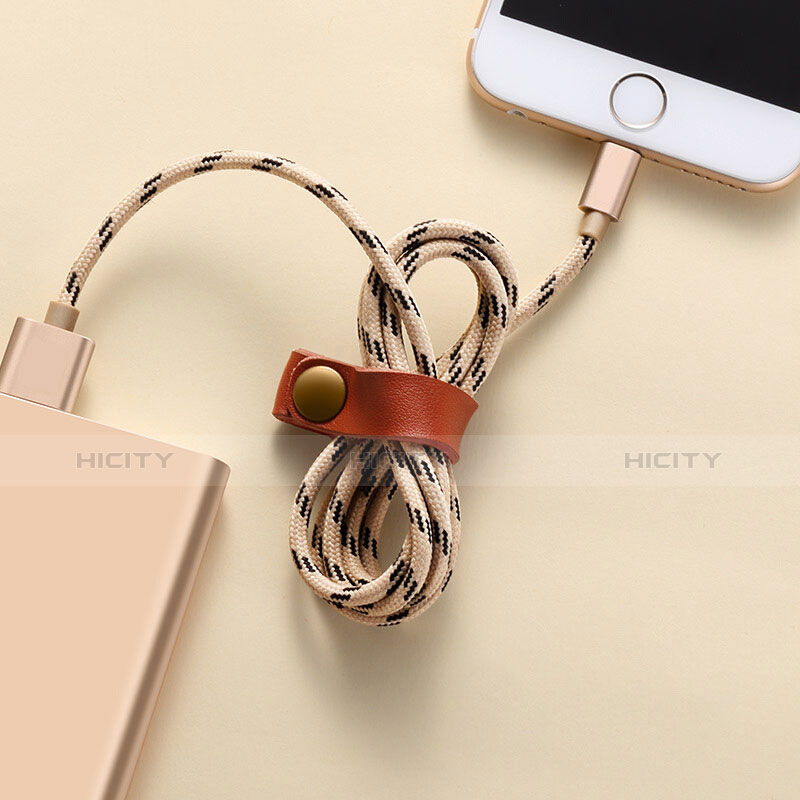 USB Ladekabel Kabel L05 für Apple iPad 10.2 (2020) Gold groß