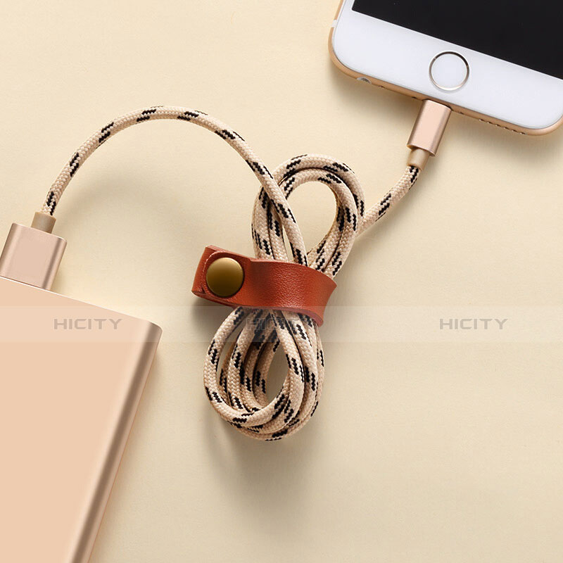 USB Ladekabel Kabel L05 für Apple iPhone SE Gold groß