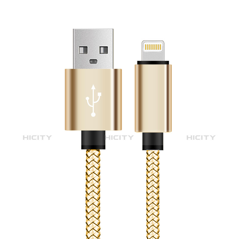 USB Ladekabel Kabel L07 für Apple iPad 10.2 (2020) Gold groß