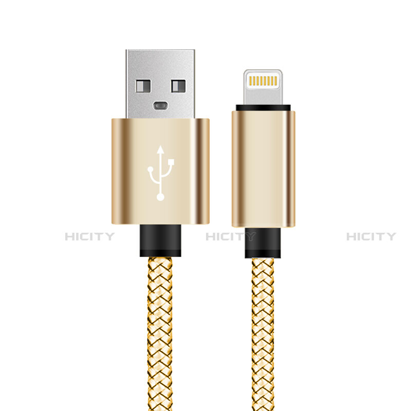 USB Ladekabel Kabel L07 für Apple iPhone 12 Gold groß