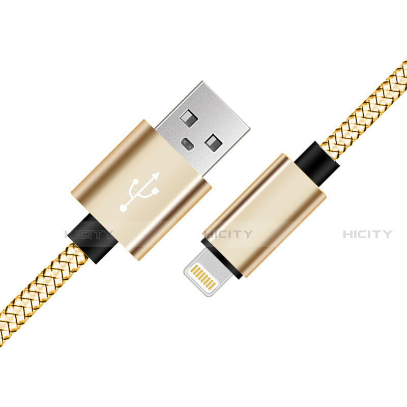 USB Ladekabel Kabel L07 für Apple iPhone 12 Gold groß