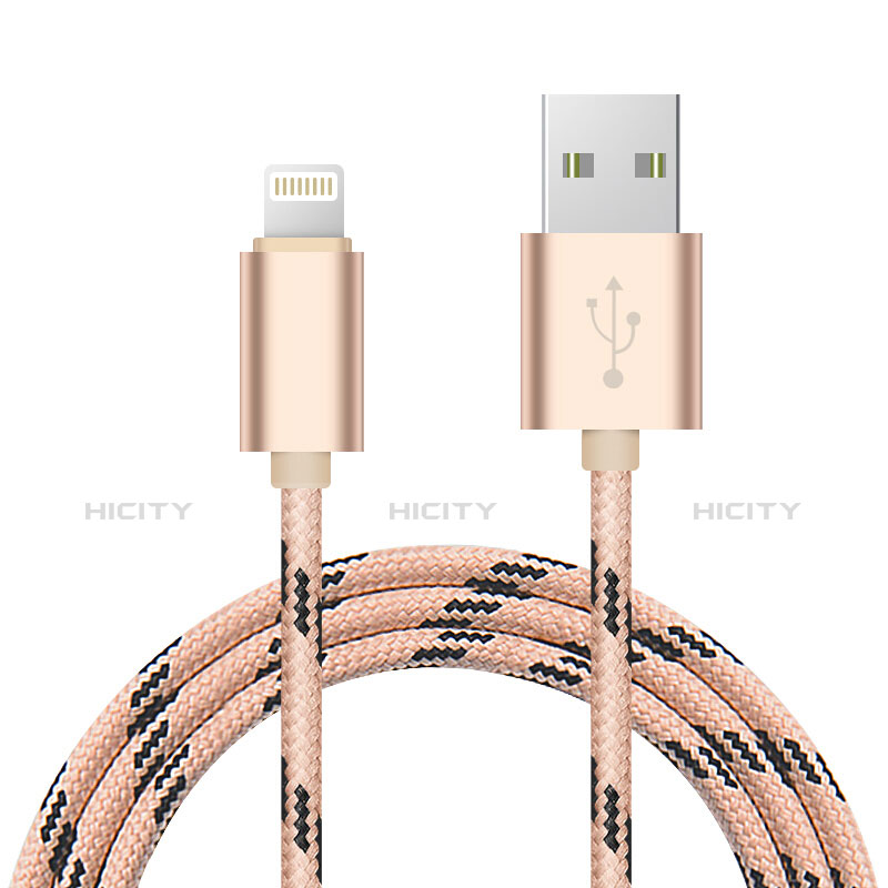 USB Ladekabel Kabel L10 für Apple iPad 10.2 (2020) Gold groß