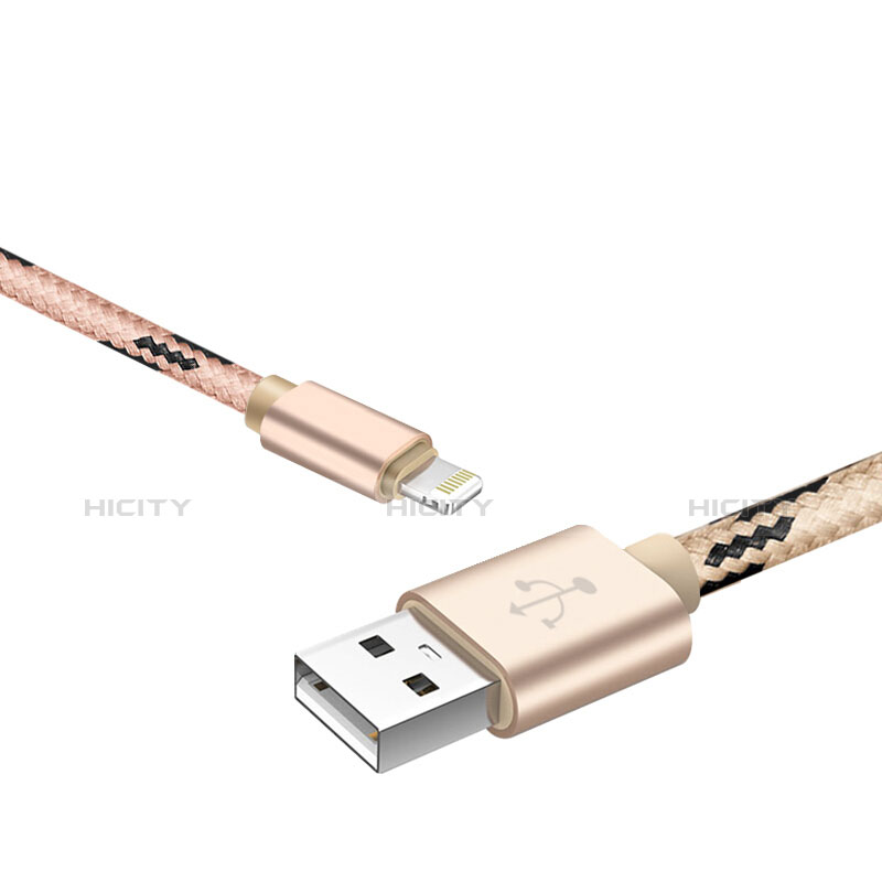 USB Ladekabel Kabel L10 für Apple iPad 10.2 (2020) Gold groß