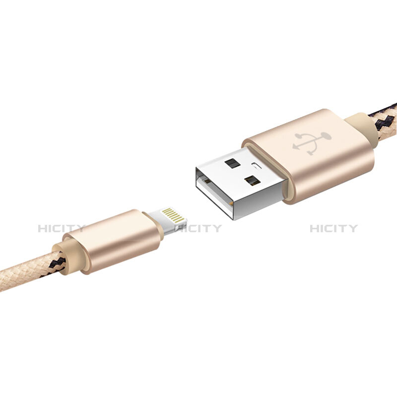 USB Ladekabel Kabel L10 für Apple iPad 10.2 (2020) Gold groß