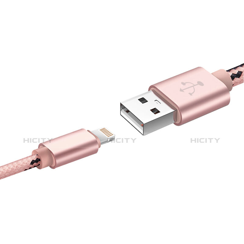 USB Ladekabel Kabel L10 für Apple iPad 10.2 (2020) Rosa groß