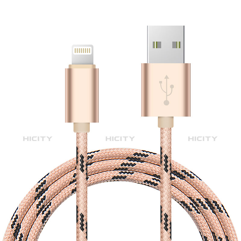 USB Ladekabel Kabel L10 für Apple iPad 4 Gold groß