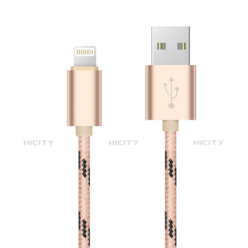 USB Ladekabel Kabel L10 für Apple iPad 4 Gold groß